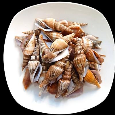 Bỏ Túi Ngay Top 4 Đơn Vị Kinh Doanh Thực Phẩm Đông Lạnh Vũng Tàu