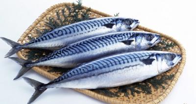 Cá Nục Hoa Nhật Bản – Tươi Ngon, Giàu Dinh Dưỡng, Giá Sỉ