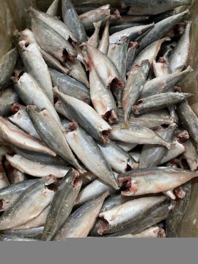 Cung Cấp Thực Phẩm Giá Rẻ Quận 12