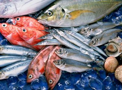 Cung Cấp Thực Phẩm Tươi Sống Giá Rẻ Quận 12 TPHCM