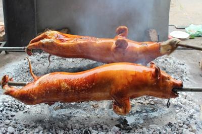 Địa Chỉ Bán Lợn Sữa Quay Hà Nội