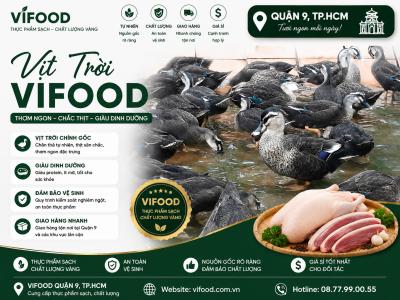 Địa Chỉ Bán Vịt Trời Giá Sỉ Tại Quận 9 TP.HCM – Nguồn Hàng Chất Lượng, Giao Nhanh 