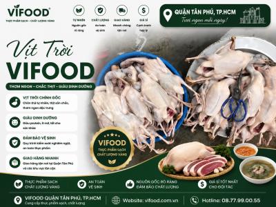 Địa Chỉ Bán Vịt Trời Giá Sỉ Tại Quận Tân Phú TP.HCM – Nguồn Hàng Ổn Định, Giao Nhanh 