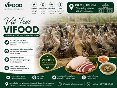 Địa Chỉ Bán Vịt Trời Tươi Sống Giá Sỉ Tại Củ Chi TP.HCM – Giao Hàng Nhanh, Giá Tốt