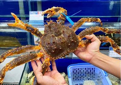 Giá Cua Hoàng Đế (King Crab) Hôm Nay – Mua Ở Đâu Uy Tín