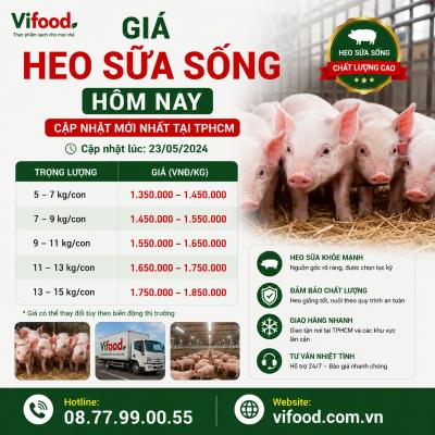 Giá Heo Sữa Sống Hôm Nay – Cập Nhật Mới Nhất Tại TPHCM