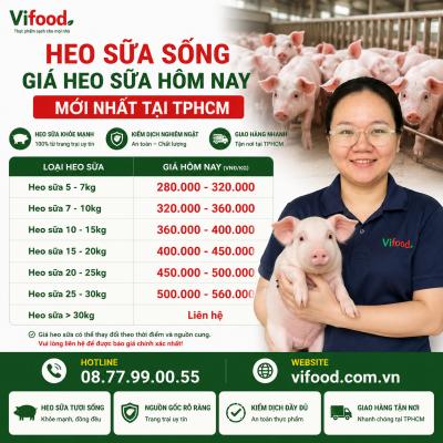 Heo Sữa Sống – Giá Heo Sữa Hôm Nay Mới Nhất Tại TPHCM