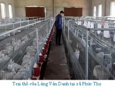 Khởi nghiệp thành công với mô hình nuôi thỏ