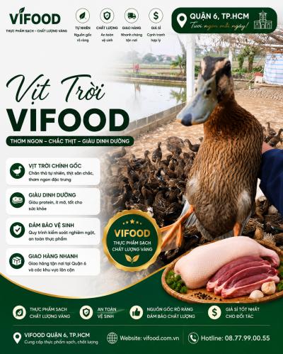 Mua Bán Vịt Trời Thịt Giá Sỉ Tại Quận 6 TP.HCM – Nguồn Hàng Ổn Định, Giao Nhanh 