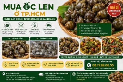 Mua Ốc Len Ở TP.HCM – Cung Cấp Ốc Len Tươi Sống, Đông Lạnh Giá Sỉ