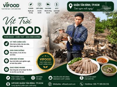 Mua Sỉ Vịt Trời Giá Sỉ Tại Quận Tân Bình TP.HCM – Nguồn Hàng Ổn Định, Giao Nhanh 