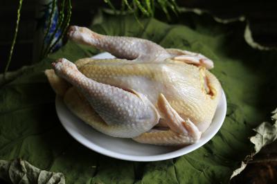 Top 3 địa chỉ mua thịt gà nhập khẩu uy tín tại Việt Nam