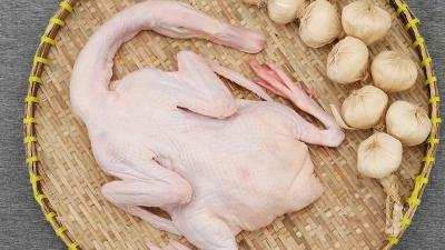 VỊT SIÊU THỊT – NGUỒN NGUYÊN LIỆU CHẤT LƯỢNG CHO MỌI MÓN ĂN GIAO HÀNG TOÀN QUỐC 