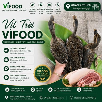 Vịt Trời Thịt Giá Sỉ Quận 5 TP.HCM – Nguồn Cung Ổn Định Cho Nhà Hàng, Quán Ăn 