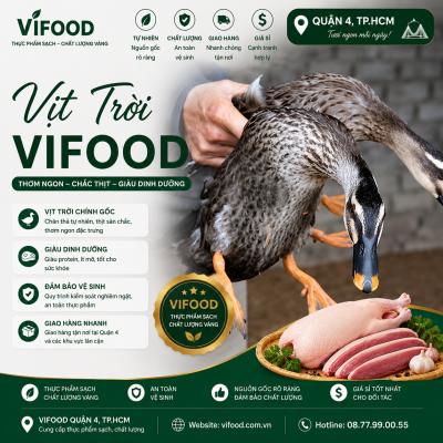 Vịt Trời Tươi Sống Quận 4 TP.HCM – Địa Chỉ Cung Cấp Vịt Trời Uy Tín, Giá Tốt 