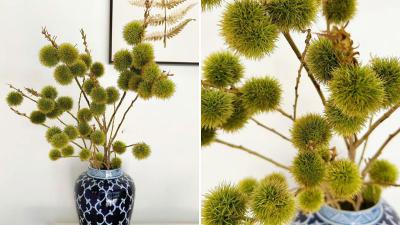 Xu hướng cắm cành quả quay trở lại, đủ loại độc lạ, cho mùa thu cực chill