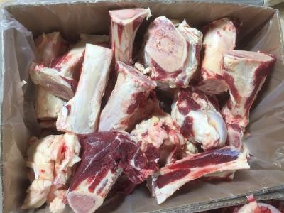 Xương Ống Bò Úc – Tươi Ngon, Giàu Canxi, Giá Sỉ