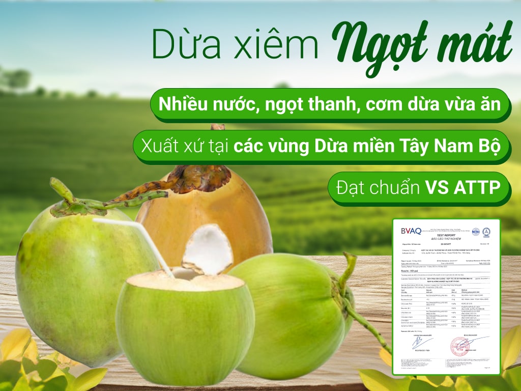 Dừa xiêm nguyên trái tươi ngon nhiều nước tại Bách hóa XANH