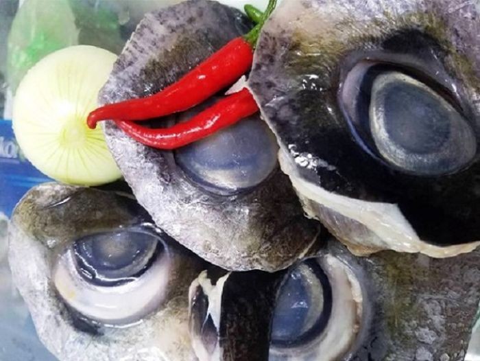 Mắt Cá Ngừ đại Dương