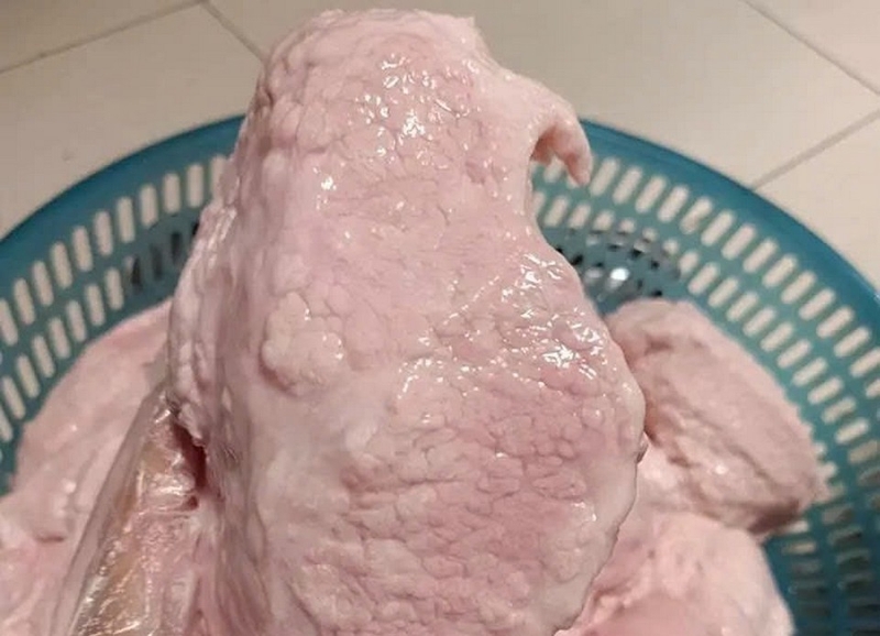 Nầm lợn là gì? Ăn có tốt cho sức khỏe không và top những món ăn ngon từ nầm  lợn