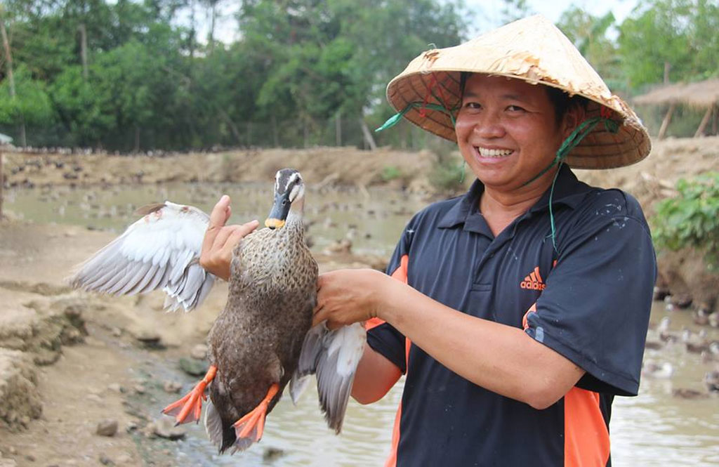 Cửa hàng bán vịt trời thịt tại TPHCM