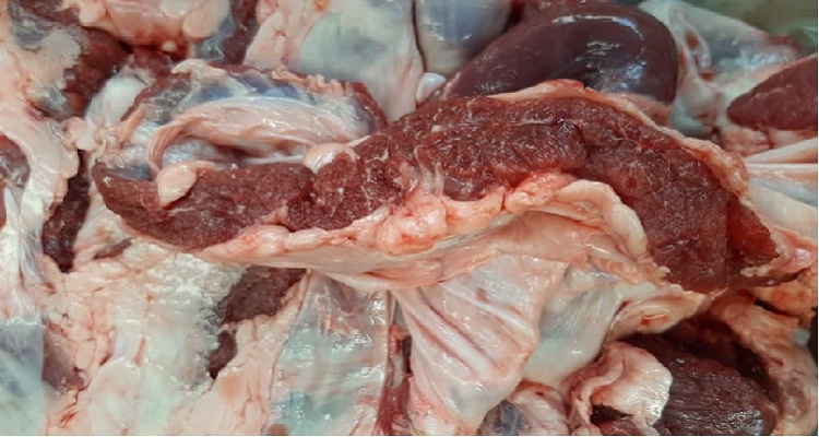 thit-dai-heo-nhap-khau-gia-tot