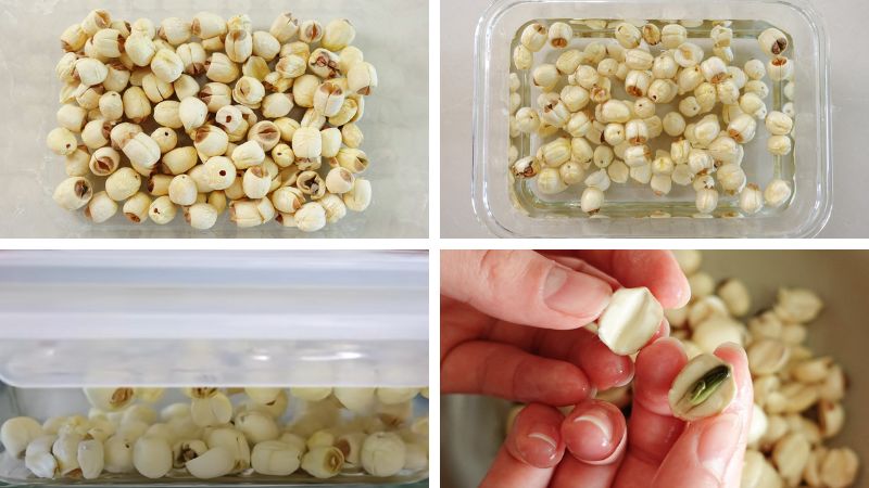 Sơ chế hạt sen khô trắng Sơ chế hạt sen khô trắng